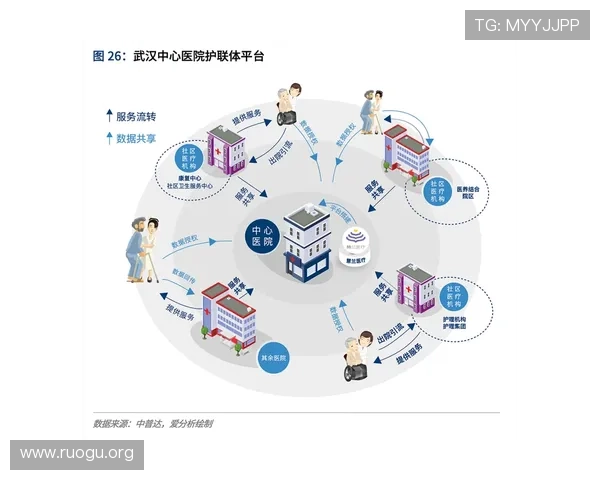 必赢平台代理常见问题与解决方案详尽汇总帮助代理商应对各种运营挑战